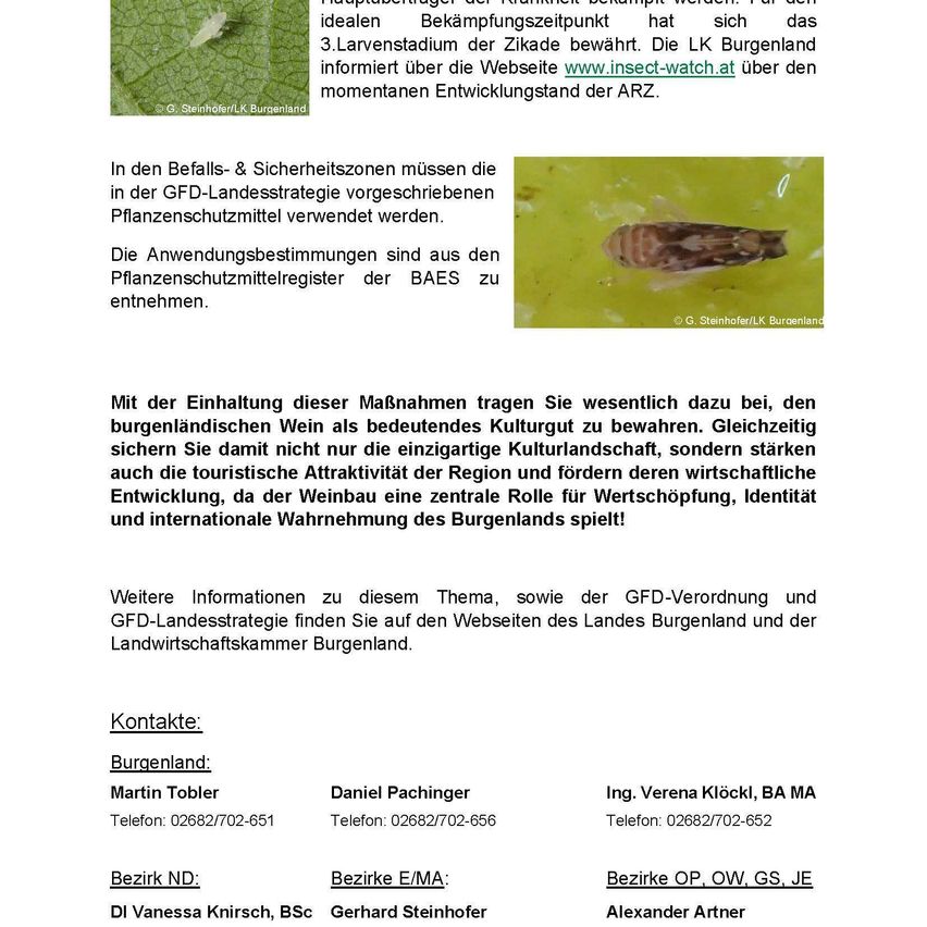 Das Bild zeigt ein Blatt mit einem Insekt darauf und Text zum Pflanzenschutz. Der Text erklärt die Bedeutung der Verwendung von Pflanzenschutzmitteln in Weinbergen, um das Kulturgut zu bewahren und die touristische Attraktivität der Region zu stärken. Zudem werden Kontaktdaten für die zuständigen Behörden angegeben.