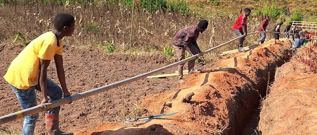 Person, Worker, Boy, Child, Male, Adult, Man, Outdoors, Nature