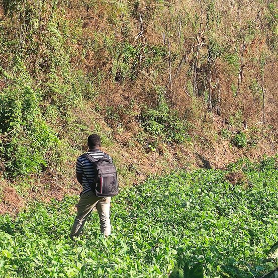 Bild enthält, Person, Walking, Photography, Adult, Male, Man, Bag, Hiking, Nature, Vegetation