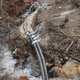 Bild enthält, Nature, Outdoors, Wilderness, Soil, Rock, Slate, Vegetation, Tree, Woodland, Creek