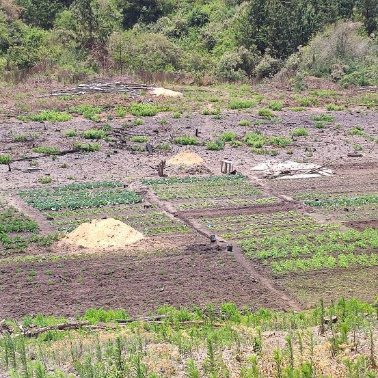 Bild enthält, Soil, Nature, Outdoors, Field, Countryside, Rural, Farm