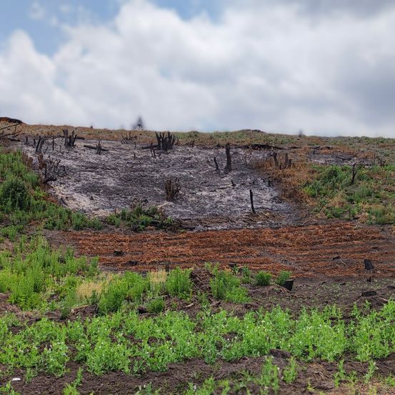 Bild enthält, Soil, Nature, Outdoors, Plateau, Field, Grassland, Scenery, Wilderness, Ground, Land