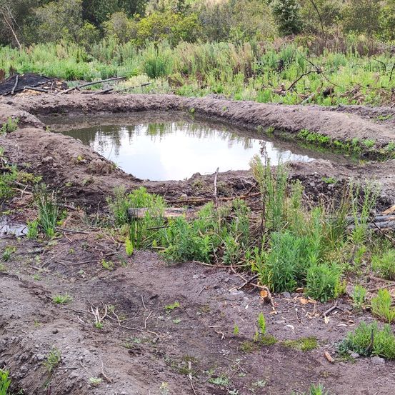 Bild enthält, Nature, Outdoors, Pond, Water, Wilderness, Soil, Land, Person, Vegetation, Swamp