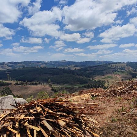 Bild enthält, Nature, Outdoors, Wilderness, Cloud, Sky, Landscape, Soil, Vegetation, Cumulus, Scenery
