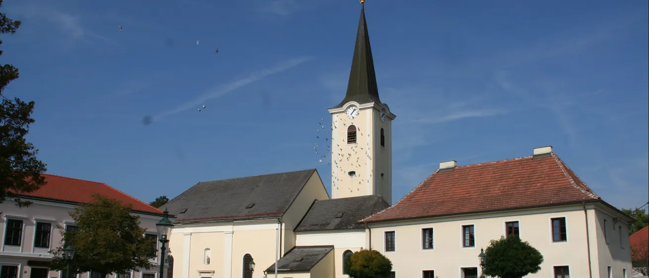 Clock Tower, Tower, Spire, Airplane, Person, Bird