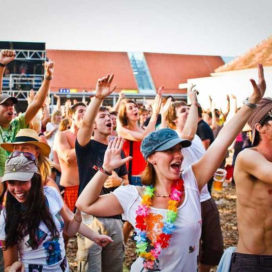 Bild enthält, Flower, Flower Arrangement, People, Person, Adult, Bride, Female, Woman, Celebrating, Man