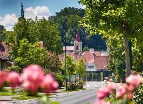 v1_migrated_image_9295377