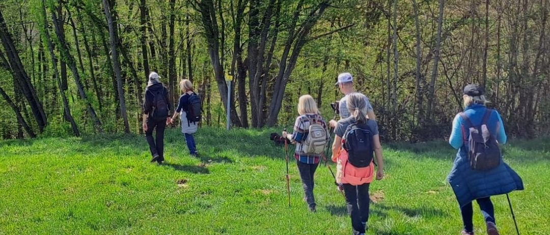 Eine Gruppe von Menschen wandert durch ein saftiges grünes Feld mit Bäumen und bewirbt einen Kräuterfasten-Spaziergang. Die Gruppe besteht aus Männern und Frauen, einige tragen Hüte und haben Rucksäcke dabei.