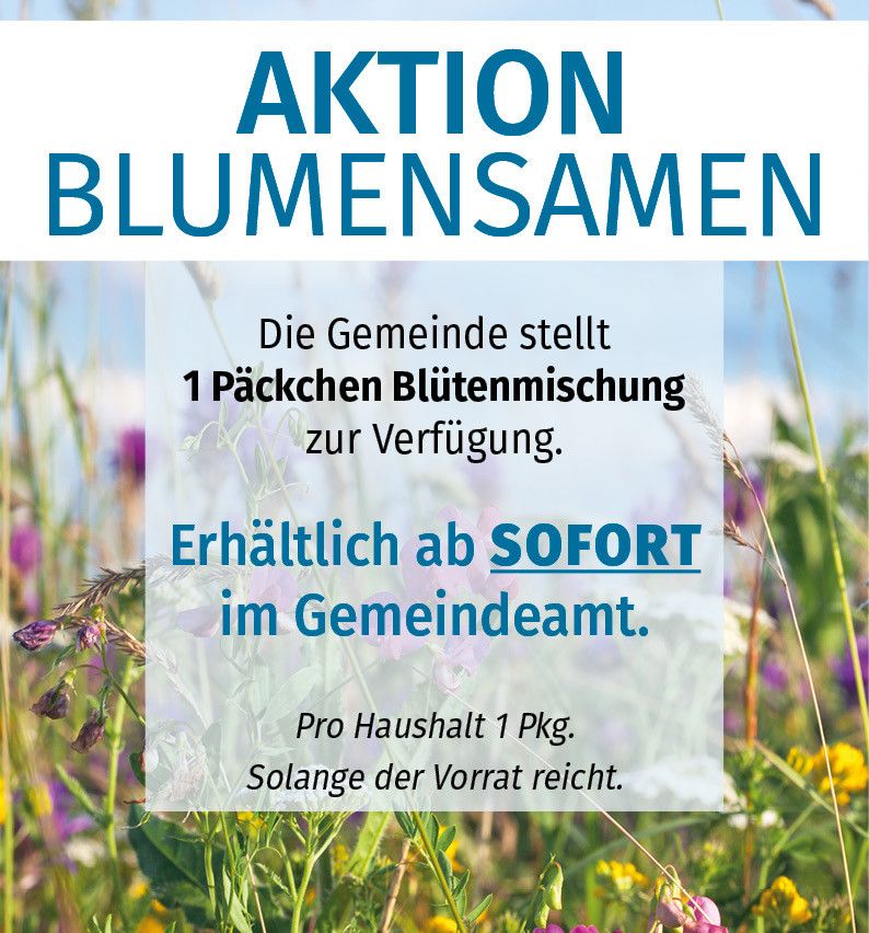 Werbeplakat für eine Aktion Blumensamen. Die Gemeinde stellt 1 Päckchen Blütenmischung pro Haushalt zur Verfügung, erhältlich ab SOFORT im Gemeindeamt.