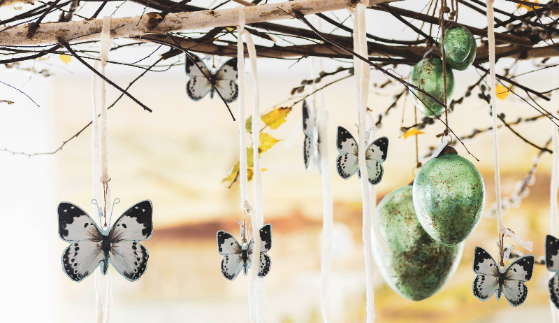 Bild enthält, Animal, Bird