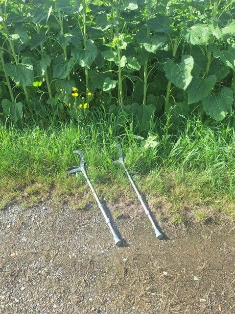 Zwei Metallwerkzeuge, möglicherweise Schaufeln, liegen auf dem Boden in der Nähe eines Grasbereichs mit Sonnenblumen.