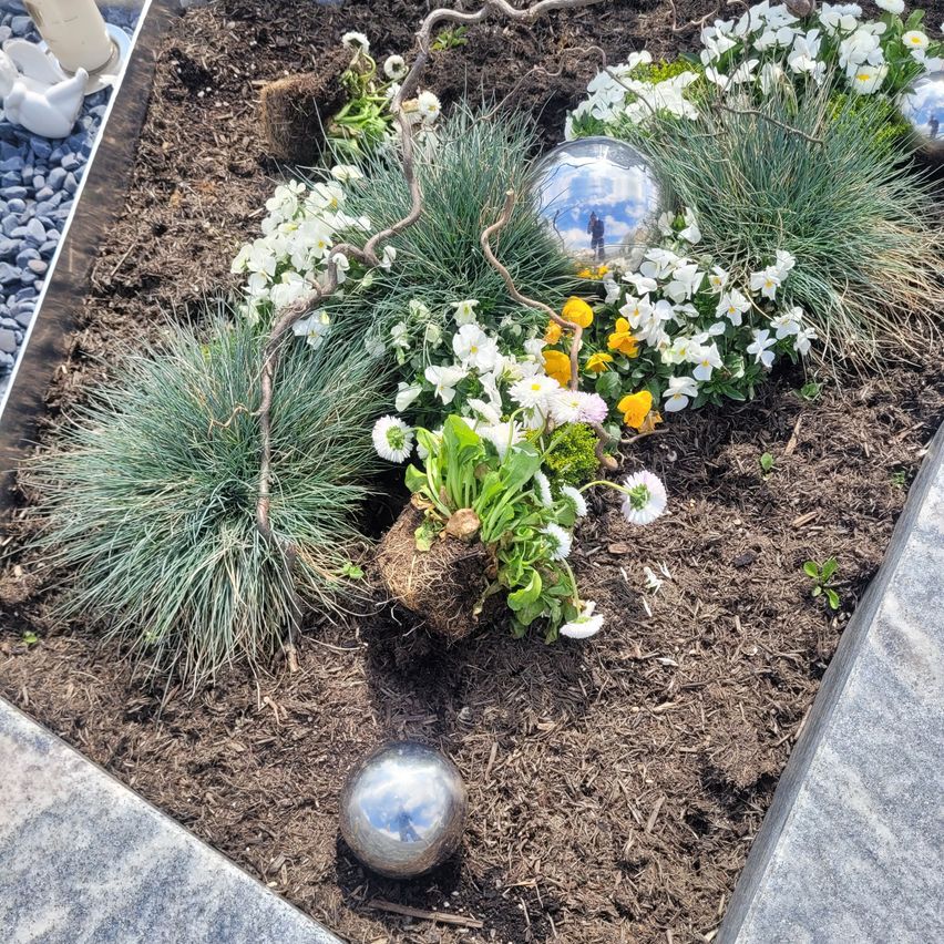 Ein Gartenbeet mit weißen und gelben Blumen, grünen Pflanzen und zwei silbernen Kugeln. Die Blumen und Pflanzen sind in einem geschwungenen Muster angeordnet.