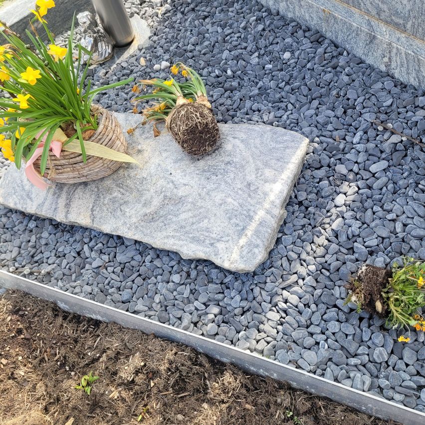 Ein kleiner Garten mit einem flachen Stein, einem Topf mit gelben Blumen und einer Pflanze mit Wurzeln. Der Boden ist mit kleinen Kieseln und Erde bedeckt.