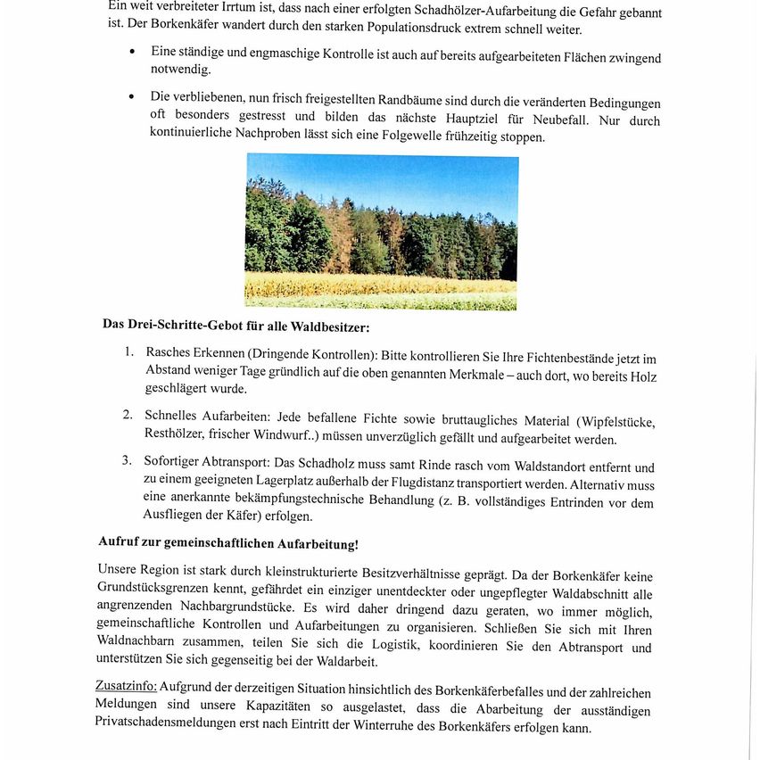 Ein Dokument mit Anweisungen für Waldbesitzer zur Bekämpfung von Borkenkäferbefall, einschließlich Erkennen von Anzeichen, Entfernen gefallener Bäume und Transport von Holz.