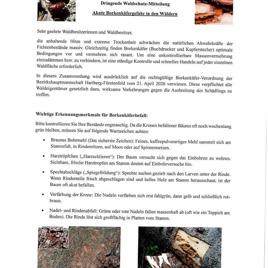 Ein Dokument mit Text und Bildern zum Waldschutz gegen Borkenkäfer. Es behandelt die Auswirkungen von Hitze und Trockenheit auf die Waldgesundheit, Anzeichen einer Befallung und gesetzliche Verpflichtungen für Waldbesitzer.