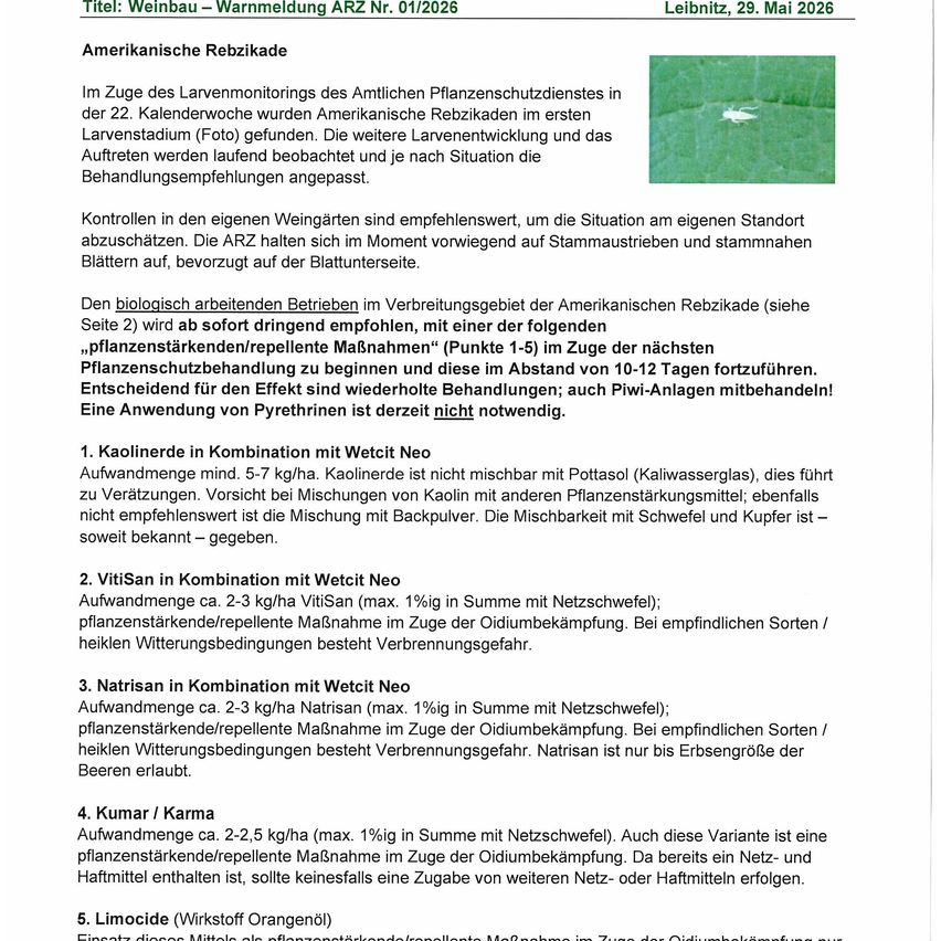 Titel: Weinbau - Warnung ARB Nr. 01/2026, Leipzig, 29. Mai 2026. Amerikanische Rebzikade im 22. Kalenderwoche gefunden. Behandlungsempfehlungen je nach Situation angepasst. Kontrolle in den eigenen Weinbergen ist empfohlen.