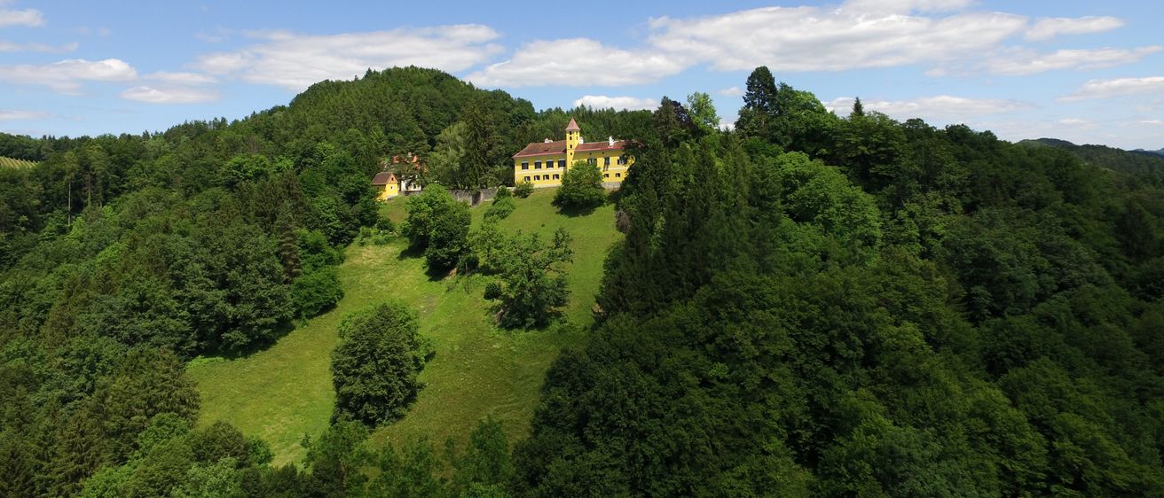 Bild enthält, Tree, Building, Nature, Outdoors, Scenery, Fir, Vegetation, Hill, Grass, Grassland