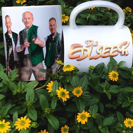 Bild enthält, Herbal, Potted Plant, Daisy, Flower, Photography, Portrait, Leaf, Planter, Petal, Vegetation