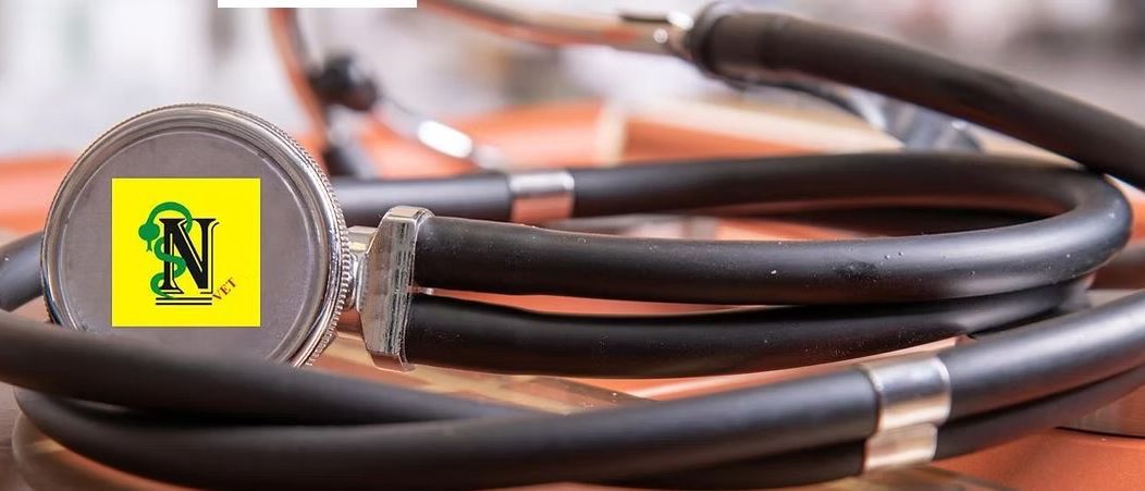 Ein Stethoskop mit dem N Vet Logo liegt auf einer Holzoberfläche. Das Stethoskop ist schwarz mit silbernen Akzenten.