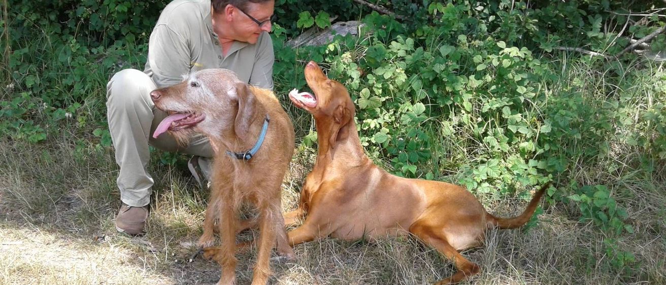 v1_migrated_image_76590735