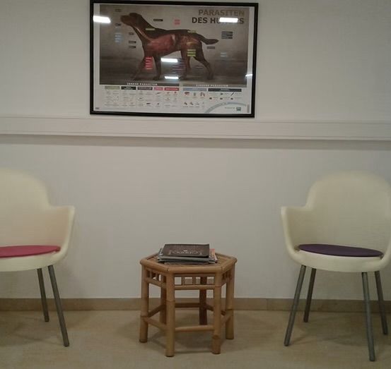 Zwei weiße Stühle stehen sich gegenüber mit einem kleinen Holztisch dazwischen. Auf dem Tisch liegt ein Stapel Bücher. Ein Poster an der Wand zeigt einen Hund mit anatomischen Bezeichnungen.