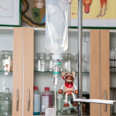 Eine medizinische Einrichtung mit einer Saline-Beutel, der an einem blauen Ständer befestigt ist, einem Spielzeug-Affe und verschiedenen Glasbehältern auf einem Regal.