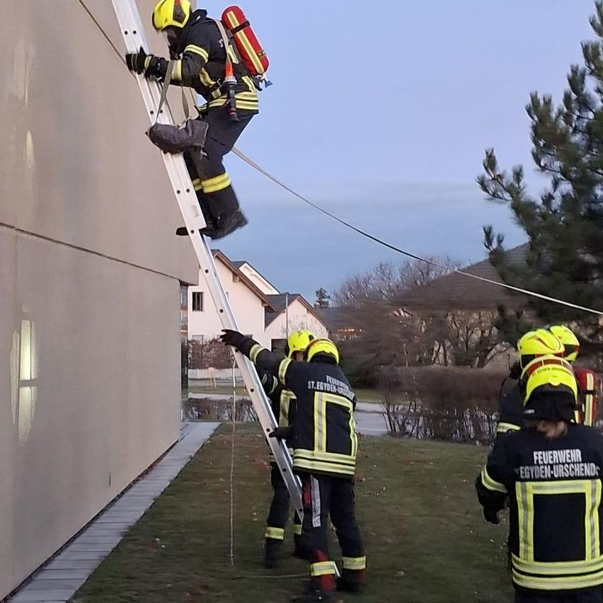 Feuerwehrleute in gelben und schwarzen Uniformen klettern eine Leiter vor einem Gebäude hoch. Einer hält einen Feuerlöscher. Bäume und Häuser sind im Hintergrund.