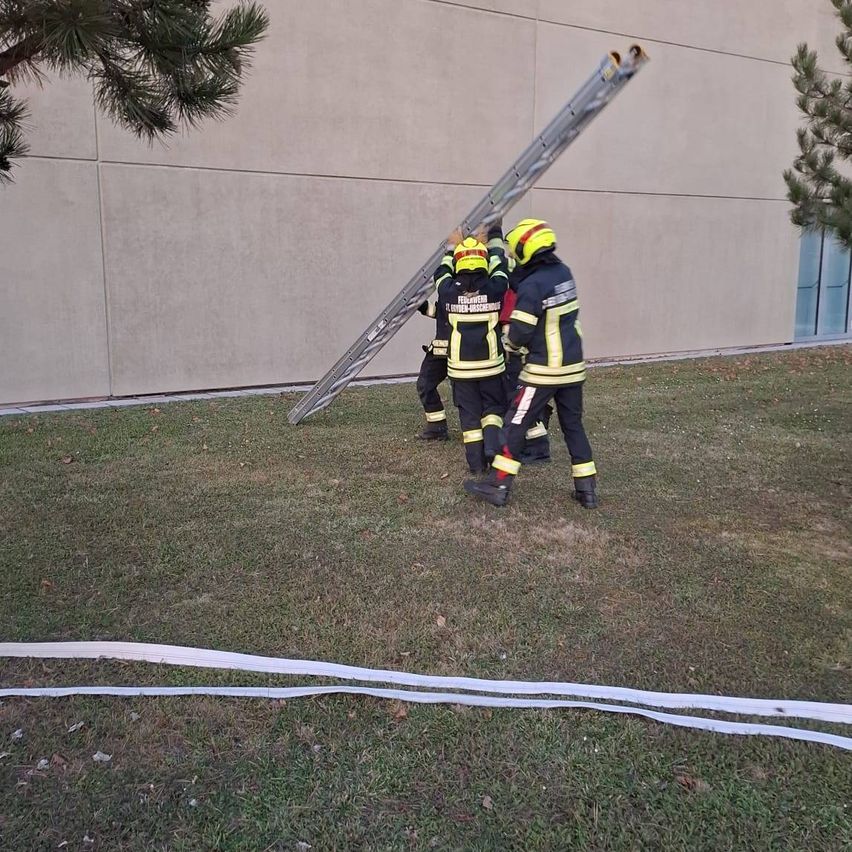 Vier Feuerwehrleute halten eine Leiter, die gegen ein Gebäude mit einem Glasfenster gestellt ist. Sie stehen auf einem Rasenfeld.