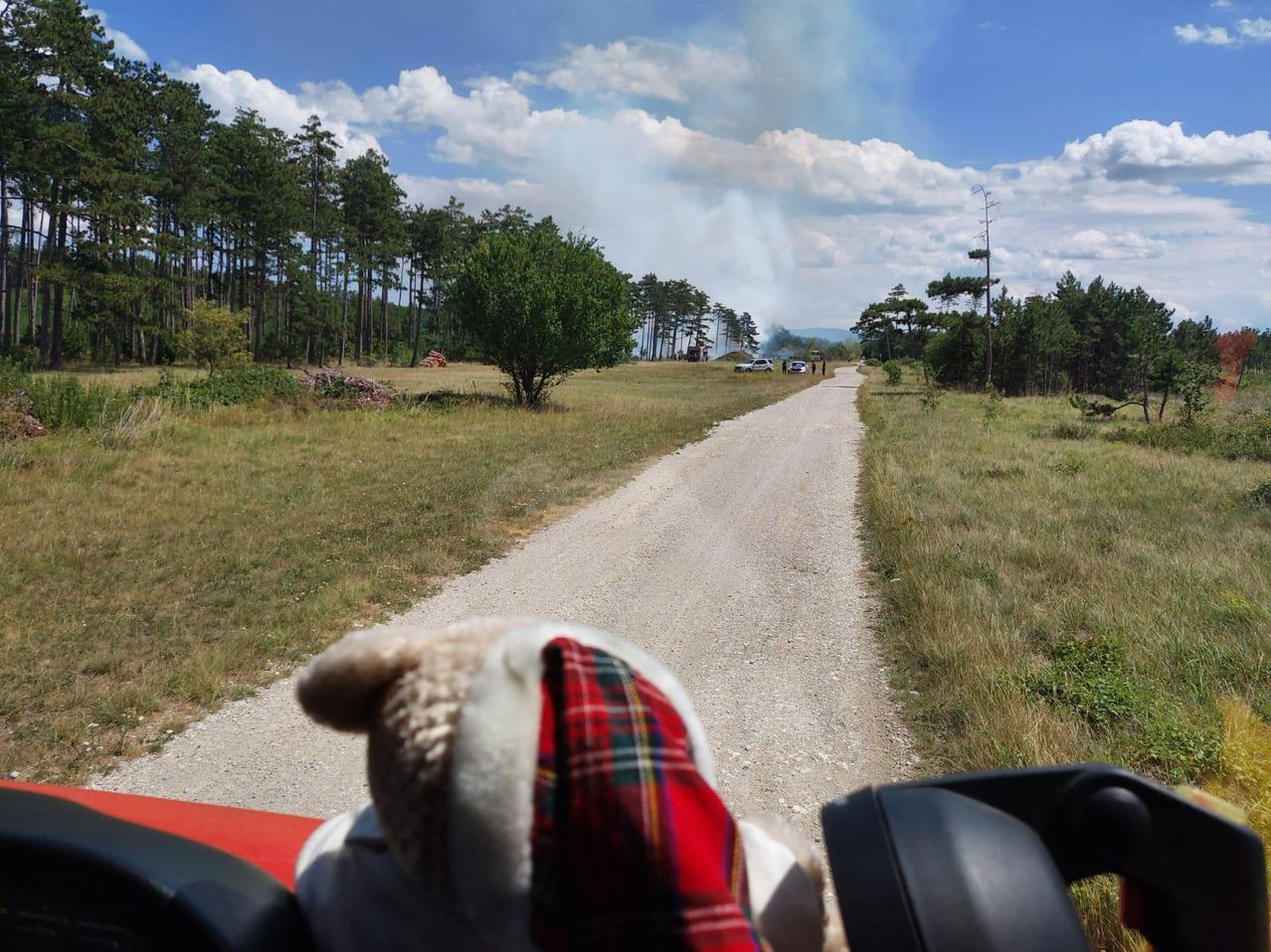 Die Ansicht aus einem Fahrzeug zeigt einen Feldweg, der zu einem Wald führt, mit Rauch, der von einem Brand in der Ferne aufsteigt.