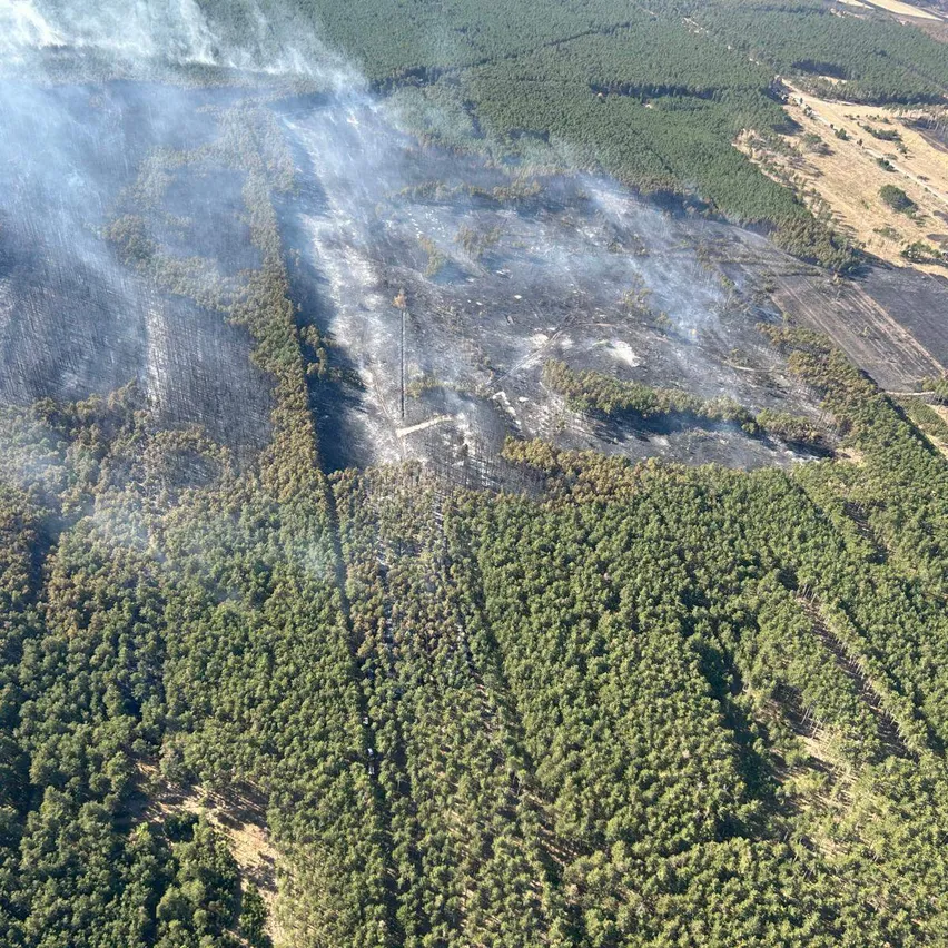 Luftaufnahme eines Waldbrandes mit aufsteigendem Rauch, verkohlten Bäumen und einer Brandschneise.