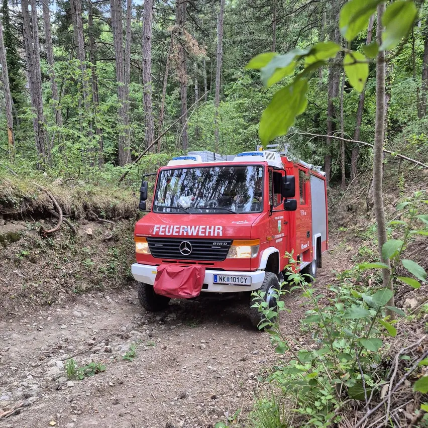 Ein roter Mercedes Benz Feuerwehrwagen mit dem Wort 'Feuerwehr' steht auf einem Schotterweg im Wald.