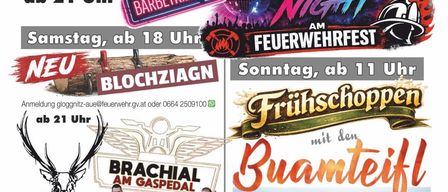 Plakat für ein Festival mit verschiedenen Veranstaltungen wie Disco Night, Feuerwehrfest und Fritschoppen. Daten und Zeiten für jede Veranstaltung sind angegeben.