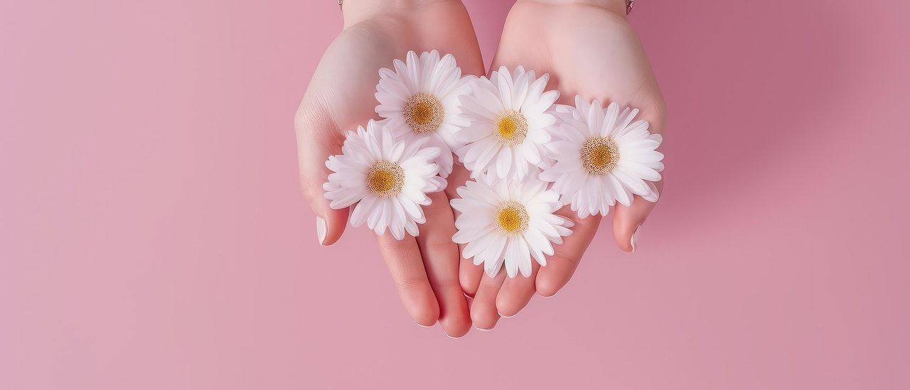 Ein Paar Hände hält mehrere weiße Gänseblümchen mit gelben Zentren auf einem rosa Hintergrund. Die Person trägt silberne Armbänder.