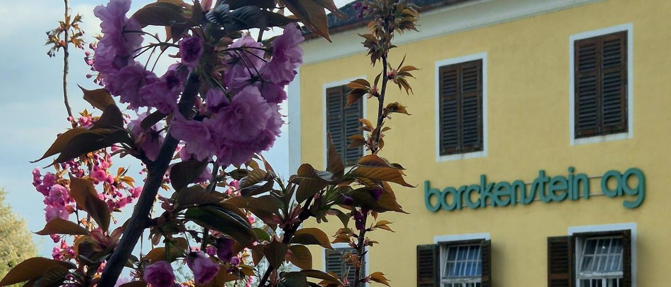 Ein gelbes Gebäude mit Fensterläden und dem Schriftzug 'borkençtein ag' in Grün, umgeben von Bäumen mit rosa Blüten.