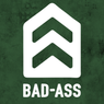 Das 'BAD-ASS' Logo zeigt ein stilisiertes Haus-Symbol mit einem Chevron-Design auf grünem Hintergrund.