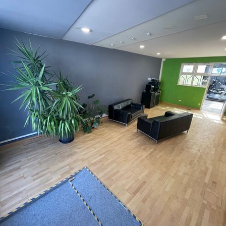 Ein Raum mit grauer Wand, Holzboden und einer schwarzen Couch auf der rechten Seite. Links steht eine Topfpflanze und auf dem Boden liegt ein grauer Teppich.