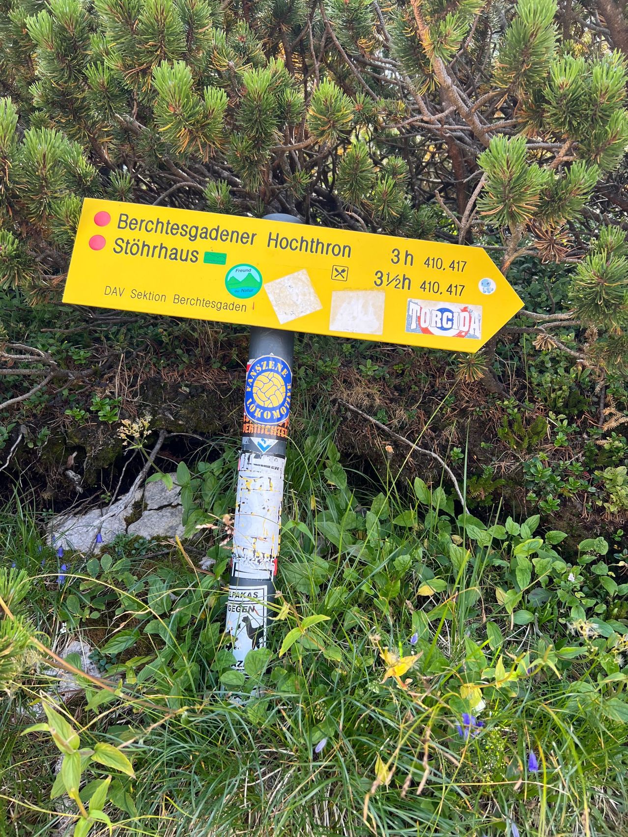 Ein gelbes Schild, das nach rechts zeigt, steht im Gras. Es ist beschriftet mit 'Berchtesgadener Hochthron' und Zeiten.