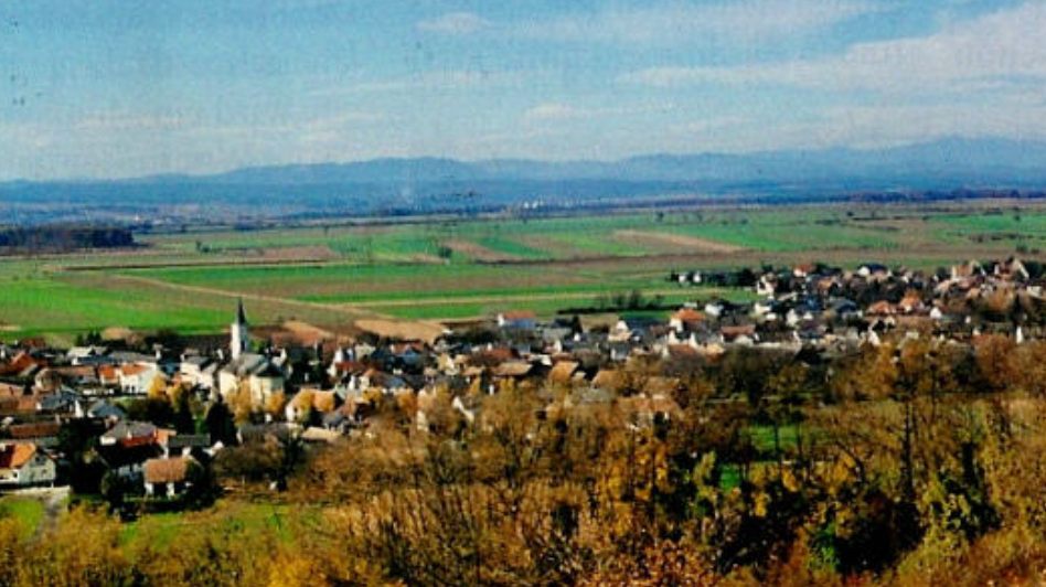 v1_migrated_image_6106949