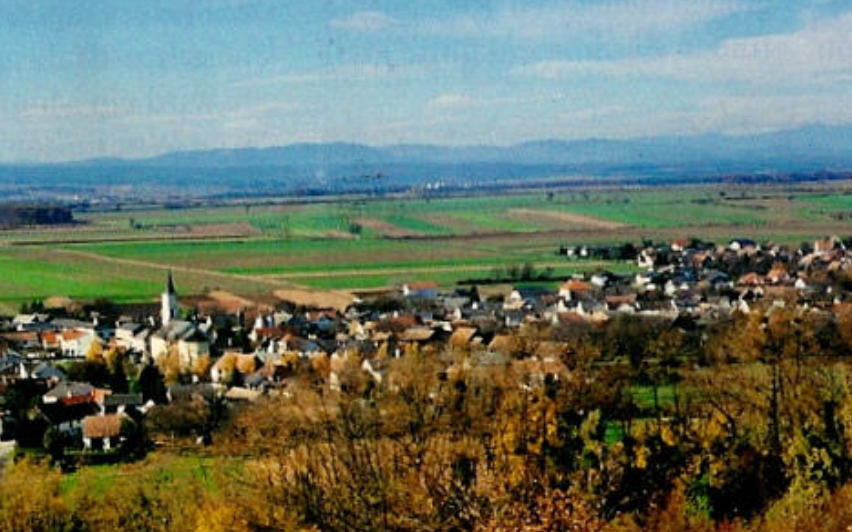 v1_migrated_image_6106949