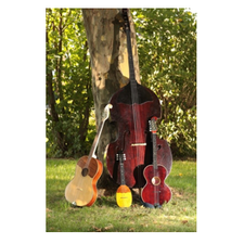 Chor und Tamburica Frankenau-Logo