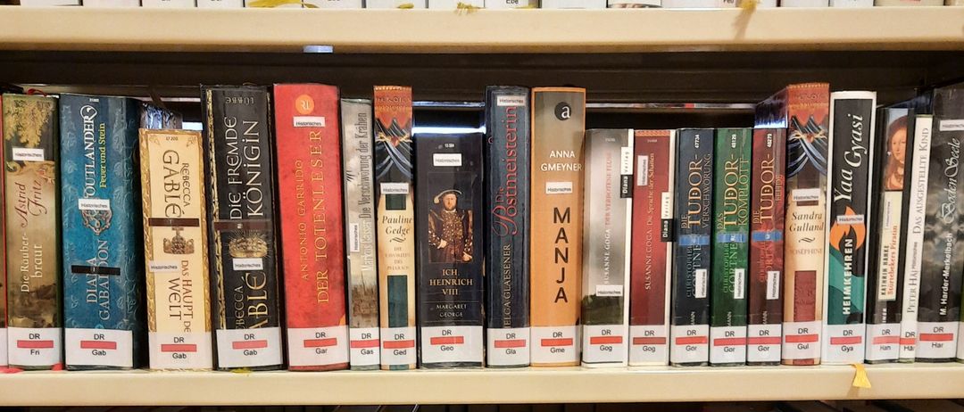Ein Bücherregal gefüllt mit zahlreichen Büchern. Die Titel umfassen 'Manja', 'Tudo', 'Yada Grasi' und 'Hele'. Jedes Buch hat oben einen kleinen Aufkleber.