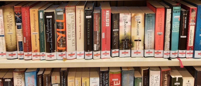 Bücherregal mit vielen Büchern, geordnet nach Autorennamen und Titeln