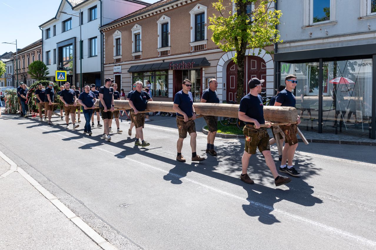 Men in traditional attire carrying a long log down the street in a parade. Buildings and a tree in the background.
