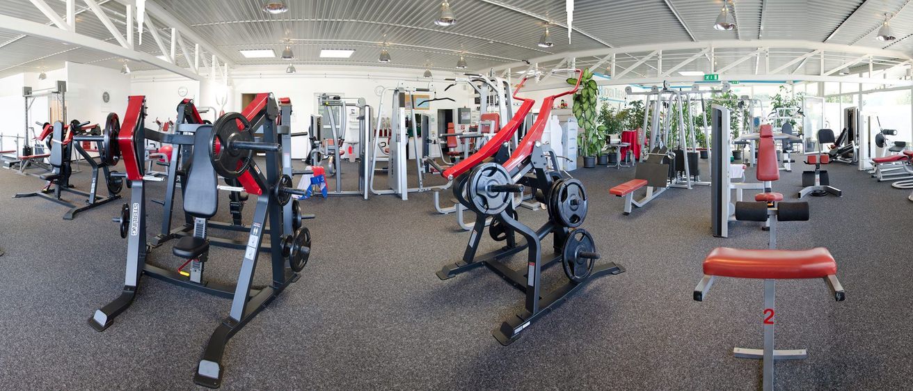 Ein Fitnessstudio mit verschiedenen Trainingsgeräten, darunter eine rote Bankdrückenmaschine, Gewichtsständer und eine Bank. Es gibt auch Topfpflanzen und Tische in der Umgebung.