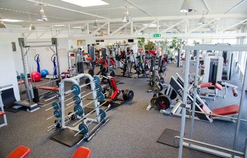 A well-equipped gym with various exercise machines, dumbbells, and weights arranged on the floor. Bright lighting and plants add to the ambiance.