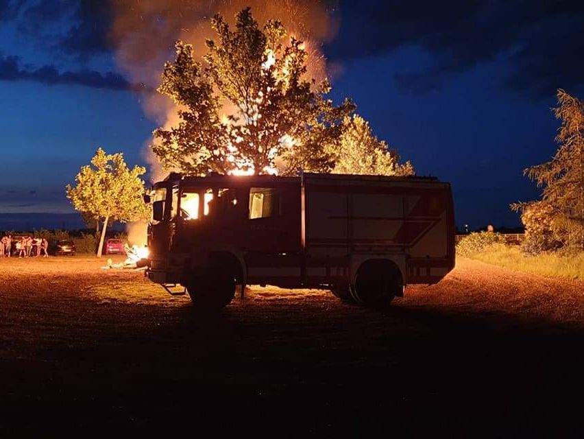 v1_migrated_image_10100262