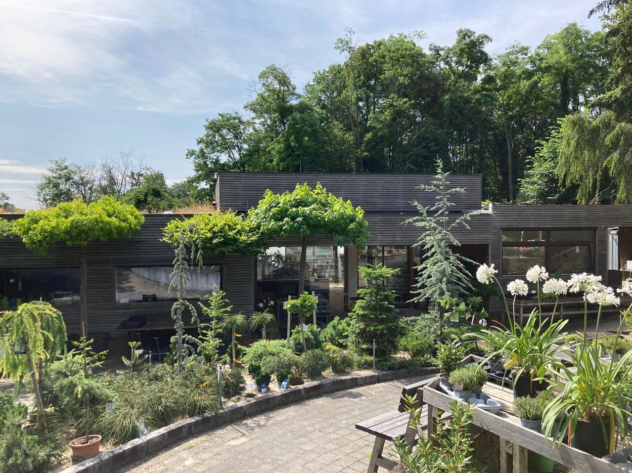 Bild enthält, Garden, Nature, Outdoors, Backyard, Housing, Villa, Patio, Potted Plant, Herbal, Tree