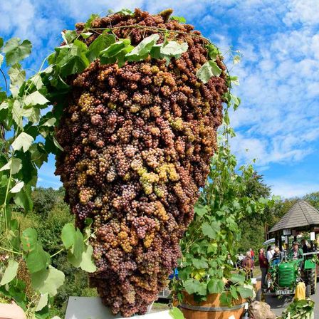 v1_migrated_image_66703444