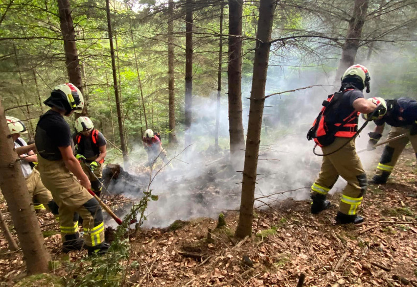 v1_migrated_image_58943020