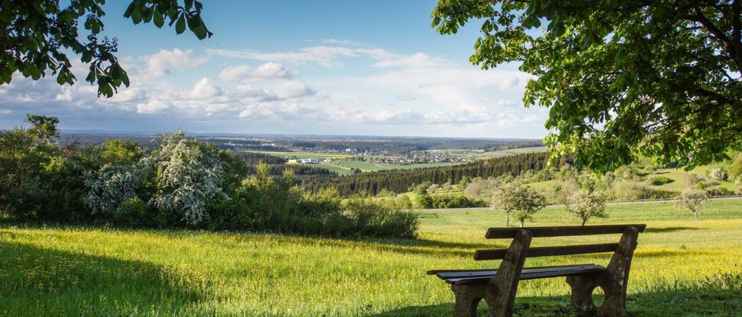 Ein Blick von einem Hügel, mit einer Holzbank unter einem Baum, mit Blick auf ein Tal mit grünen Feldern und einem blauen Himmel mit Wolken.